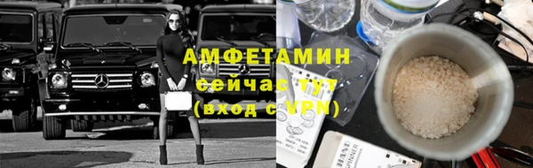 ГАЛЛЮЦИНОГЕННЫЕ ГРИБЫ Чекалин