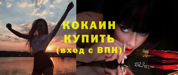 ГАЛЛЮЦИНОГЕННЫЕ ГРИБЫ Чекалин