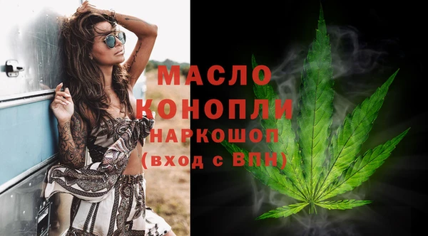 мдпв Надым