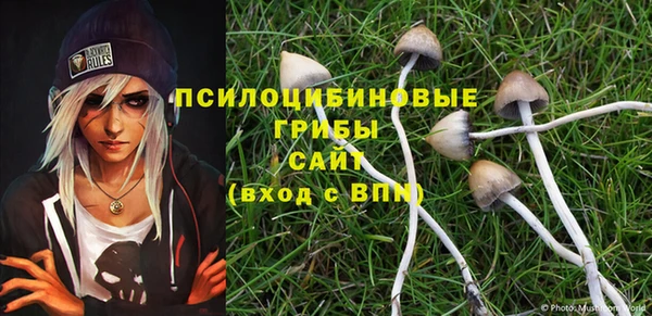 ГАЛЛЮЦИНОГЕННЫЕ ГРИБЫ Чекалин