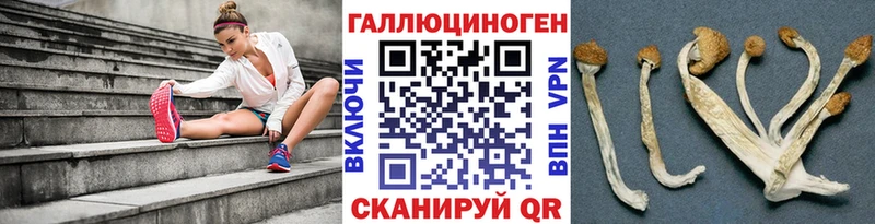 цена наркотик  Ставрополь  Галлюциногенные грибы Cubensis 